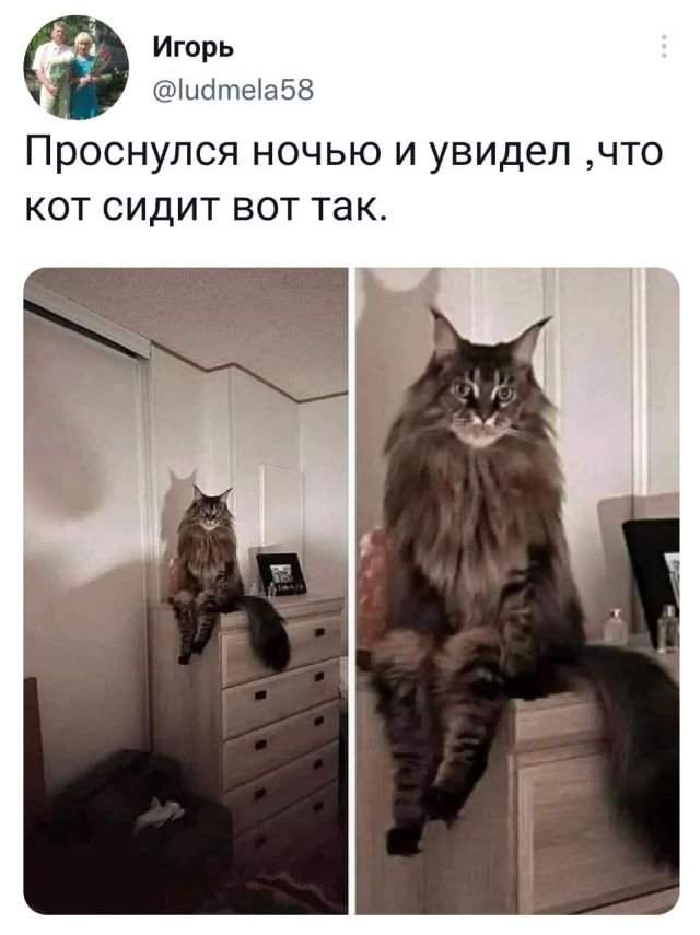 Подборка забавных твитов обо всем Подборка забавных твитов обо всем