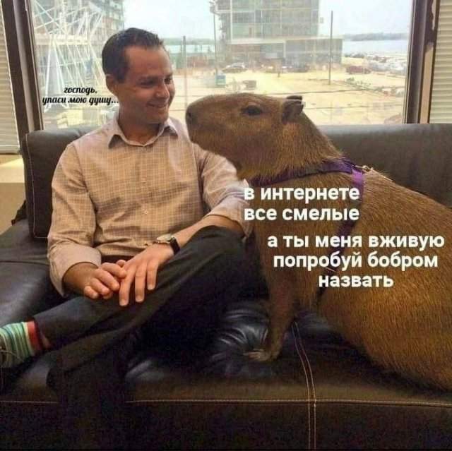 Лучшие шутки и мемы из Сети - 12.12.2022