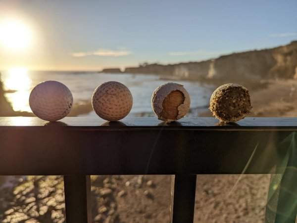 Я нашел четыре мяча для гольфа в разной степени разложения в пределах метра друг от друга на пляже