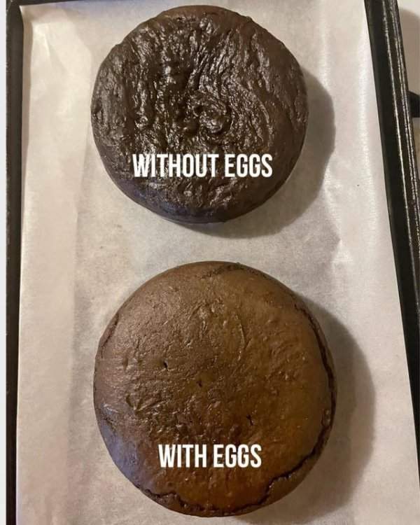 Шоколадный кекс без яиц и с яйцами