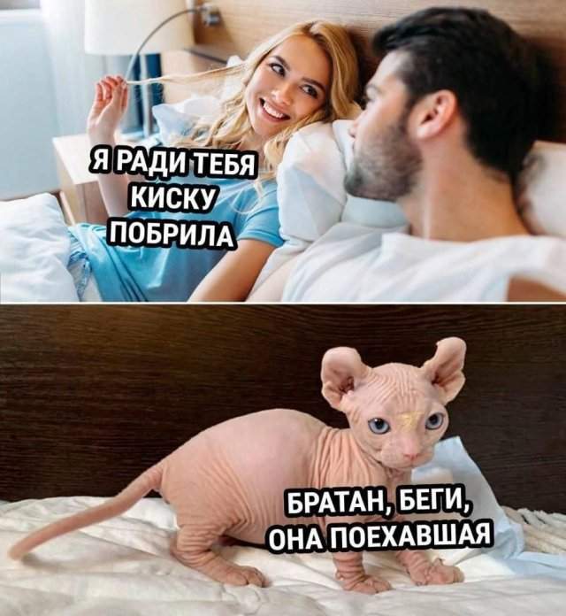 Лучшие шутки и мемы из Сети - 21.12.2022