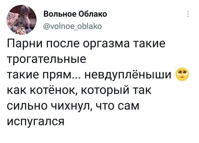 Подборка забавных твитов обо всем