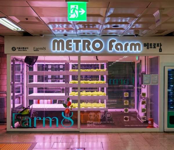В метро Сеула можно встретить такие мини-фермы по выращиванию салата