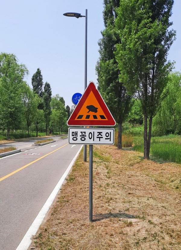 Кое-где встречаются знаки, которые предупреждают водителей, что дорогу могут пересекать лягушки