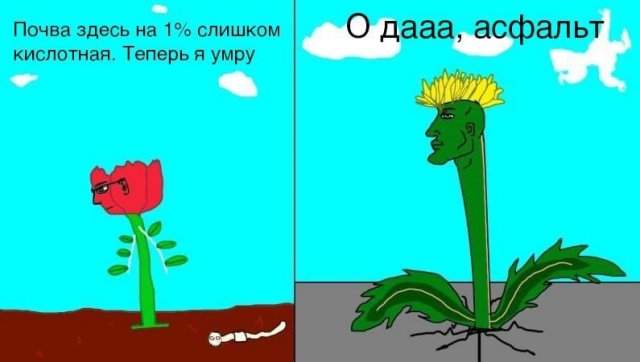 Лучшие шутки и мемы из Сети - 29.12.2022