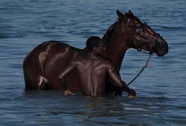 Купание чёрного коня