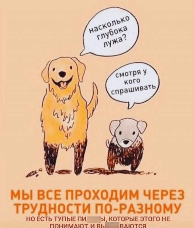 Лучшие шутки и мемы из Сети - 30.12.2022