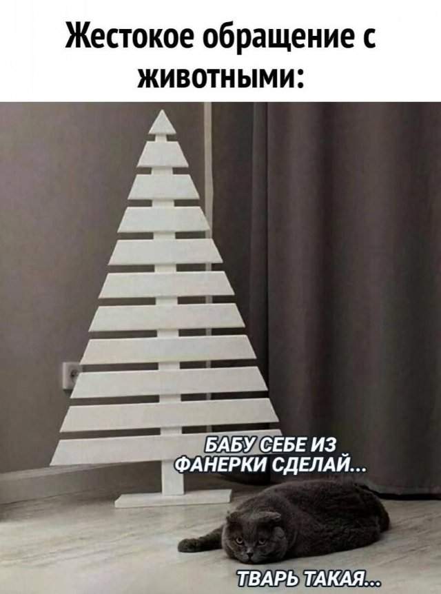Лучшие шутки и мемы из Сети - 03.01.2022