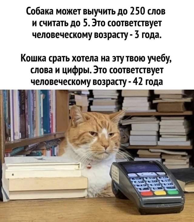 Лучшие шутки и мемы из Сети - 13.01.2023
