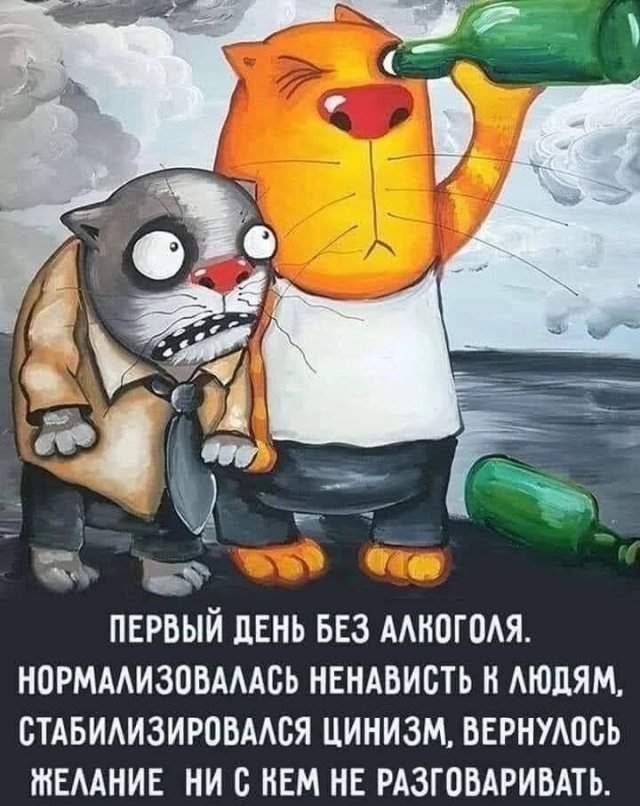 Лучшие шутки и мемы из Сети - 16.01.2023