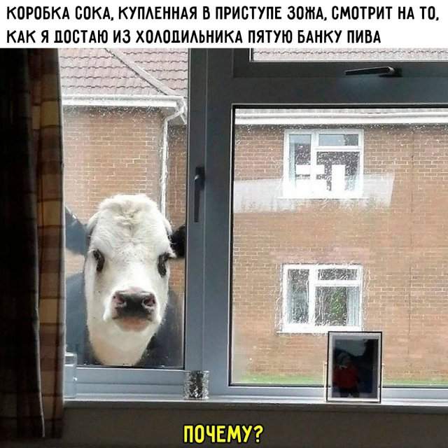 Лучшие шутки и мемы из Сети - 30.01.2023