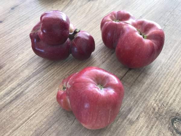 Двойные и тройные яблоки
