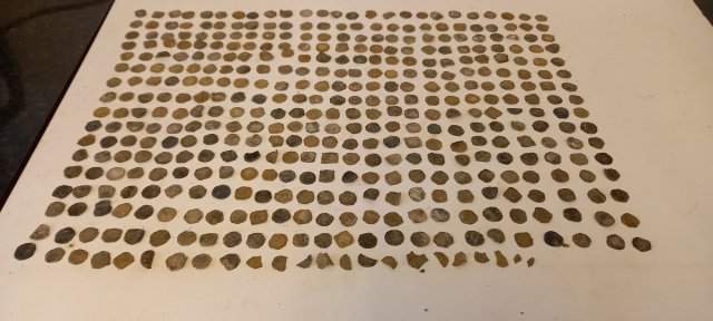 Британский кладоискатель нашел древние монеты стоимость в 200 000 фунтов стерлингов