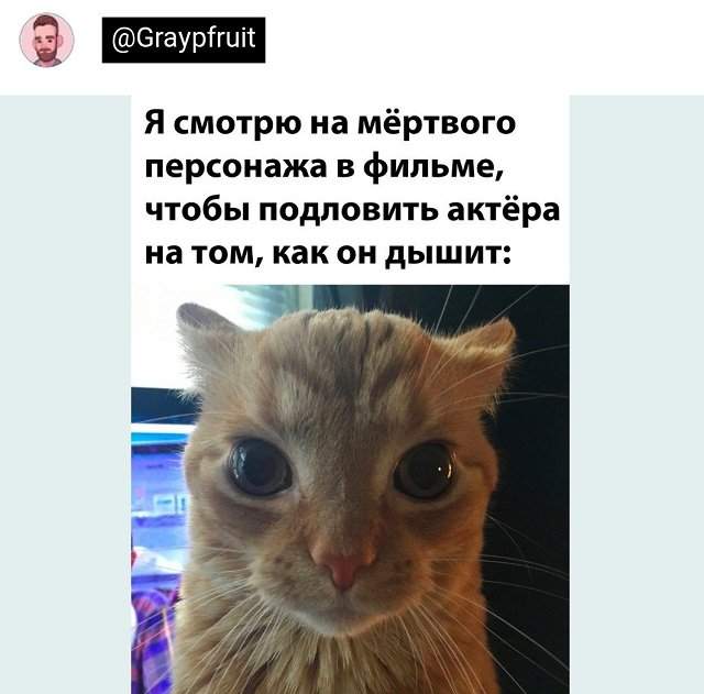 Подборка забавных твитов обо всем Подборка забавных твитов обо всем