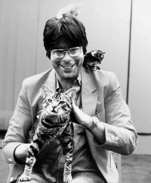 Коты окружили Стивена Кинга, но тому не страшно, 1980 год