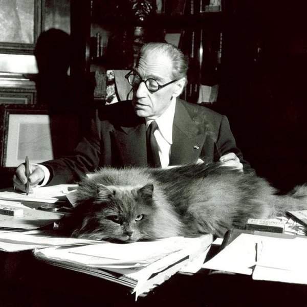 Писатель и режиссёр Саша Гитри помогает коту в его рабочих делах, 1955 год