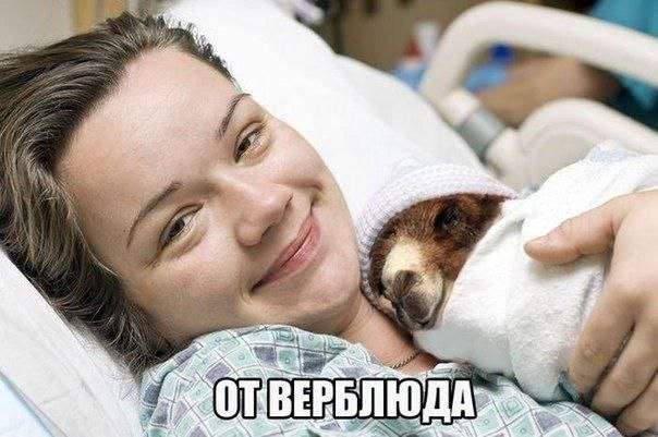 Лучшие шутки и мемы из Сети - 08.03.2023