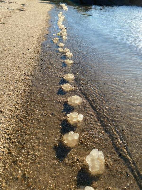 Удивительные ледяные образования на пляже