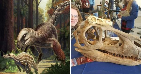 Ютараптор — динозавр, который, вероятно, был покрыт перьями