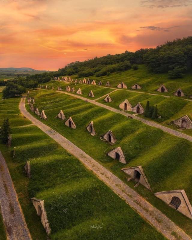 Винные погреба, Венгрия