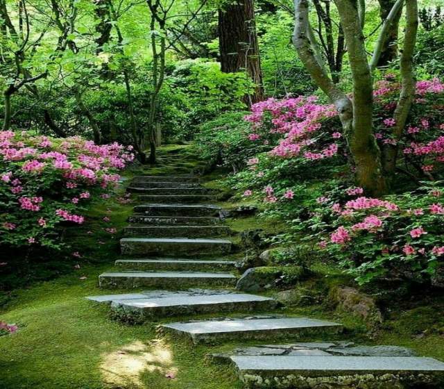 Портлендский японский сад, лестница в небеса