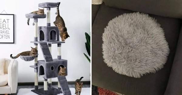 Мама заказала замок для котов и вот что ей прислали