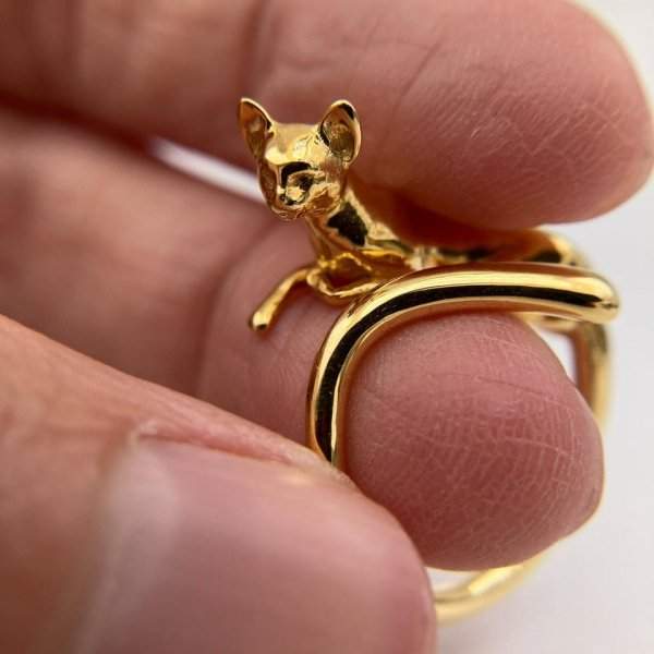 Я сделала это кольцо с кошкой, потому что не смогла найти то, которое бы мне понравилось