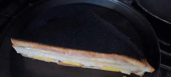 Сэндвич специально маскируется, чтобы не быть съеденным. Дикая природа удивительна