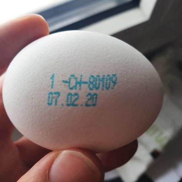 Этот код на скорлупе помогает быстро узнать, какой именно ферме принадлежат курицы, снесшие яйца