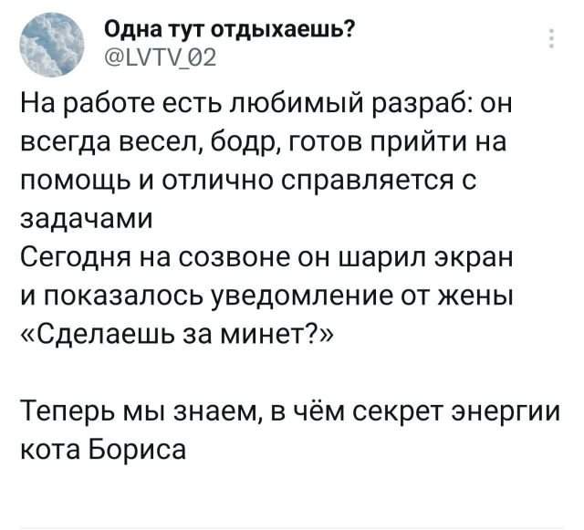 Подборка забавных твитов обо всем