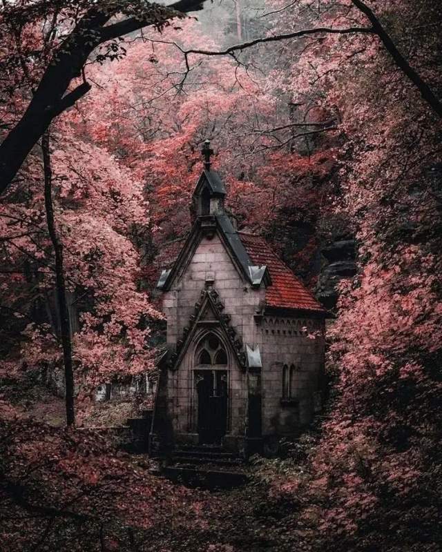 Церковь, спрятавшаяся в заколдованном лесу