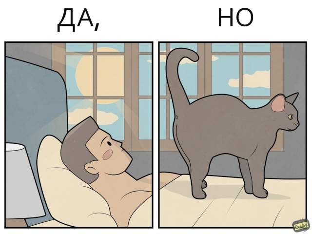&quot;Да, но...&quot;: саркастичные иллюстрации про котиков от художника Антона Гудима