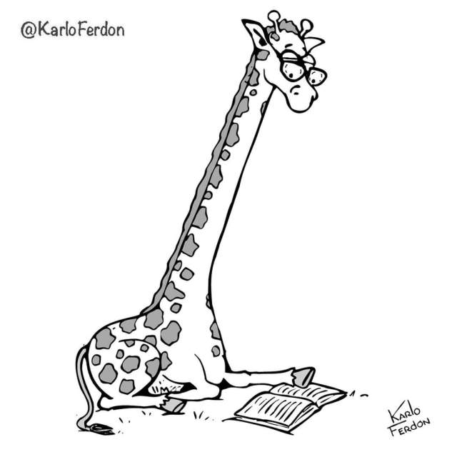 Проблемы жирафов