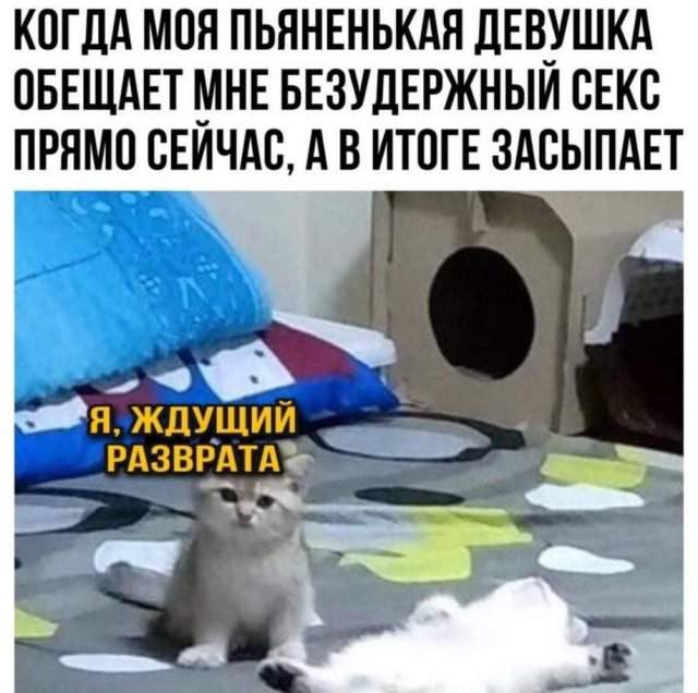 Лучшие шутки и мемы - 19.06.2023 Лучшие шутки и мемы - 19.06.2023