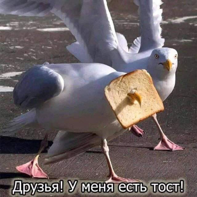 Лучшие шутки и мемы - 19.06.2023 Лучшие шутки и мемы - 19.06.2023