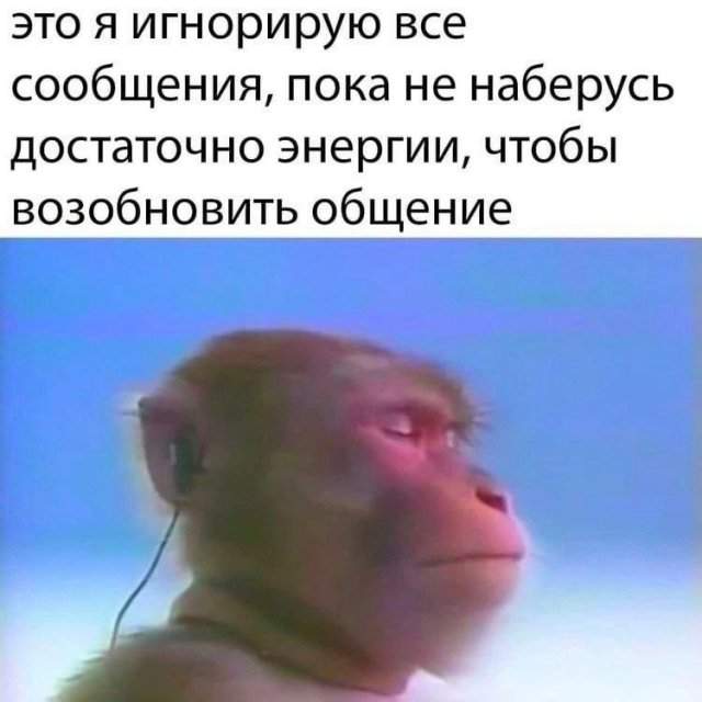 Лучшие шутки и мемы - 19.06.2023 Лучшие шутки и мемы - 19.06.2023