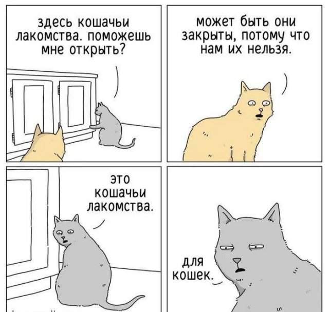 Лучшие шутки и мемы - 19.06.2023 Лучшие шутки и мемы - 19.06.2023