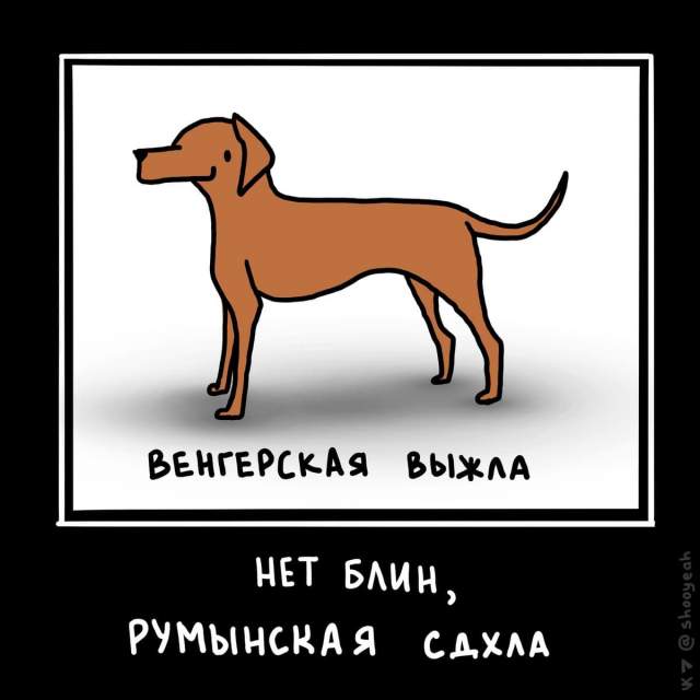 Художник забавно изобразил собак, забавно обыгрывая их внешние особенности и названия пород