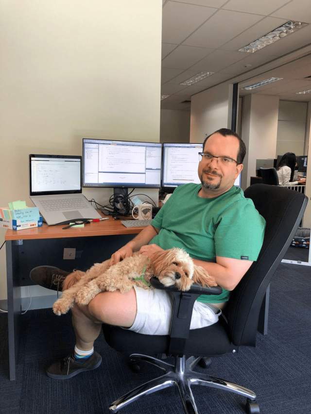 Лучший офис — это офис, куда можно приходить с собакой