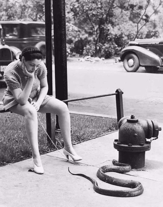 Девушка выгуливает змею на поводке, 1937 год