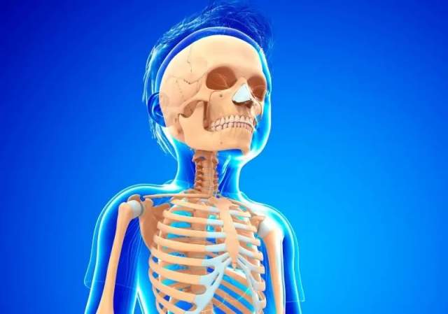 У детей на 70 костей больше, чем у взрослых
