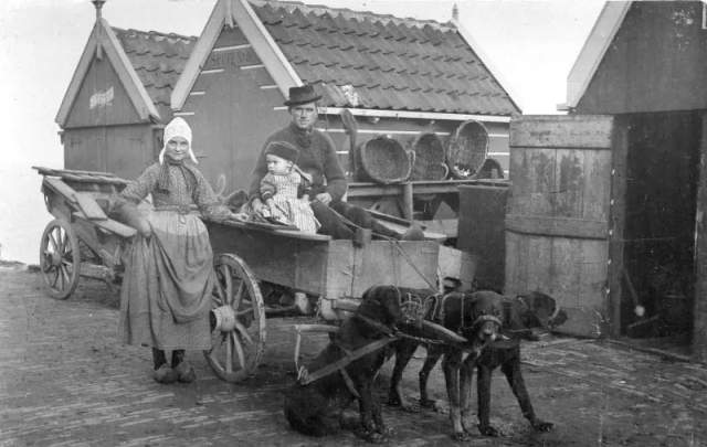 Собачья повозка, Волендам, Нидерланды, около 1906 года