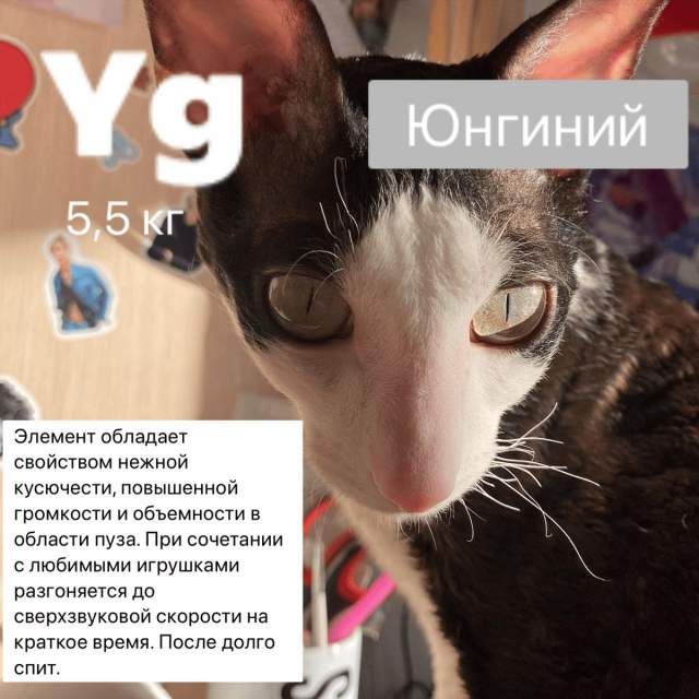 Yg — Юнгиний