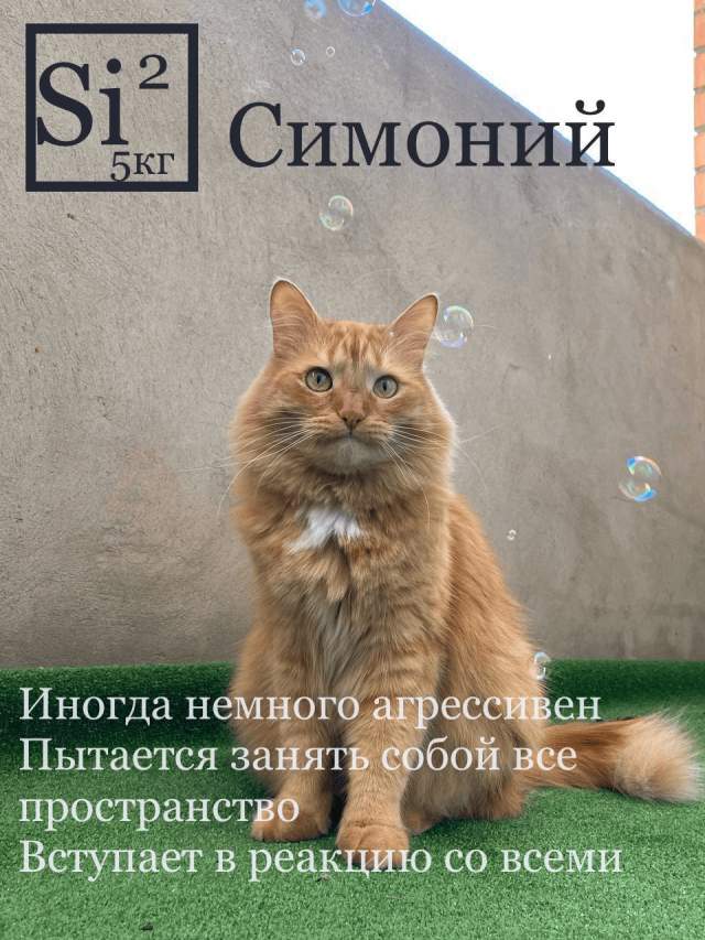 Si — Симоний