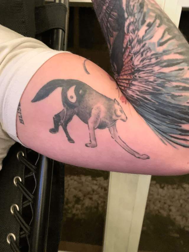 Мой друг похвастался свой татуировкой с волком