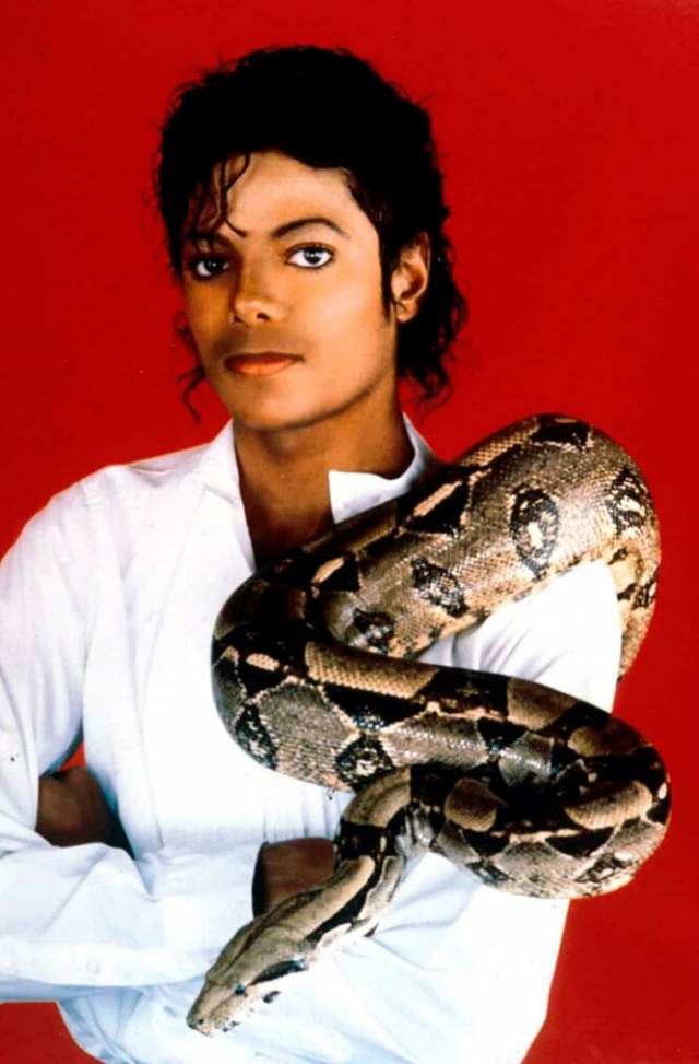Майкл Джексон со своим удавом
