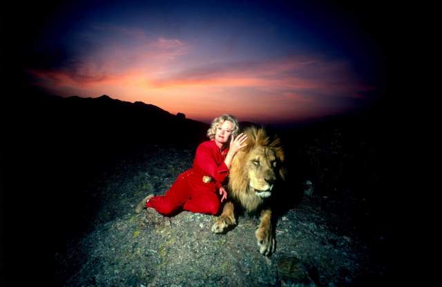 Актриса Типпи Хедрен со своим львом по кличке Нейл