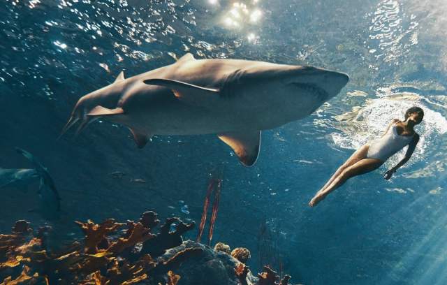 Рианна в невероятной фотосессии с акулами
