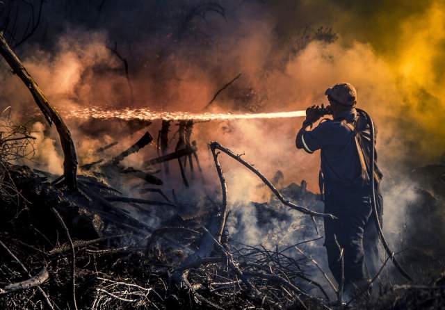 Пожарный тушит лесной пожар в заливе Астон, Южно-Африканская Республика, 2021 год, 3 место