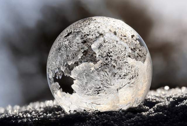 Ледяной пузырь, 2018 год, 3 место